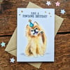 Dog birthday card, Pomeranian birthday card, Pom card
