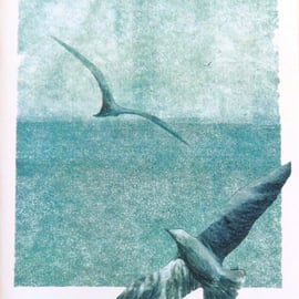 Blank art card of gulls soaring over the ocean cellophane free plastic free