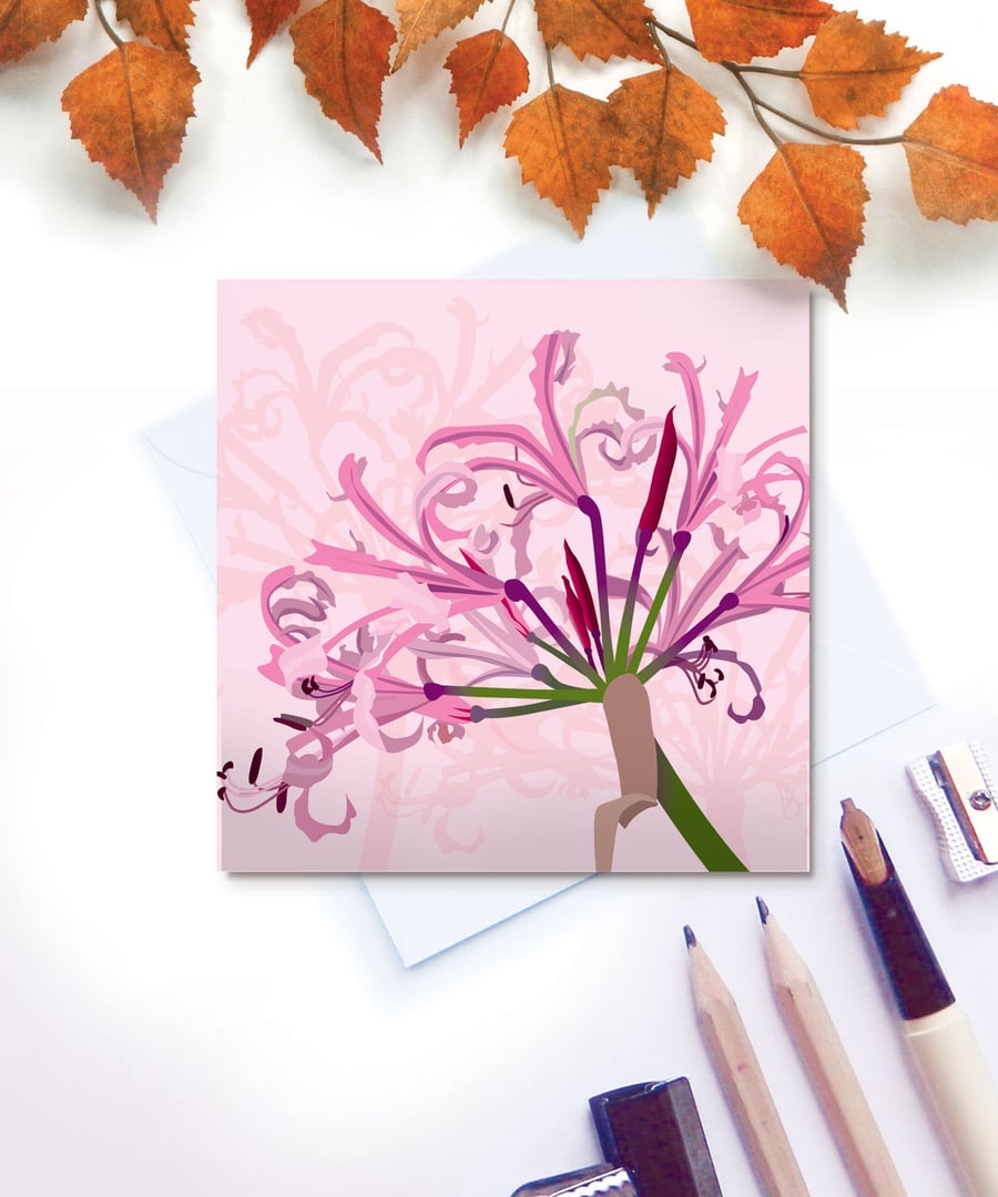 Pink Nerine Card - birthday, flower, Autumn