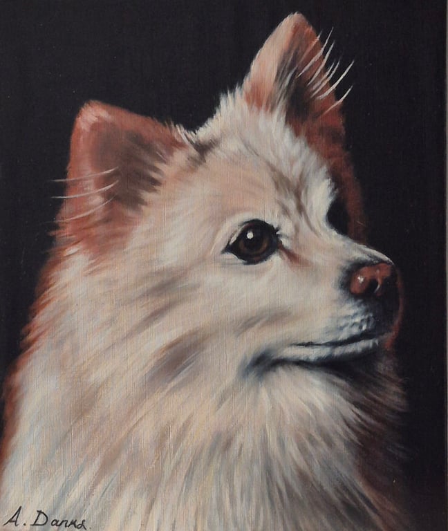 Spitz portrait. Oil on board. 27 x 32 cm