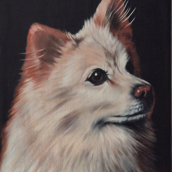 Spitz portrait. Oil on board. 27 x 32 cm