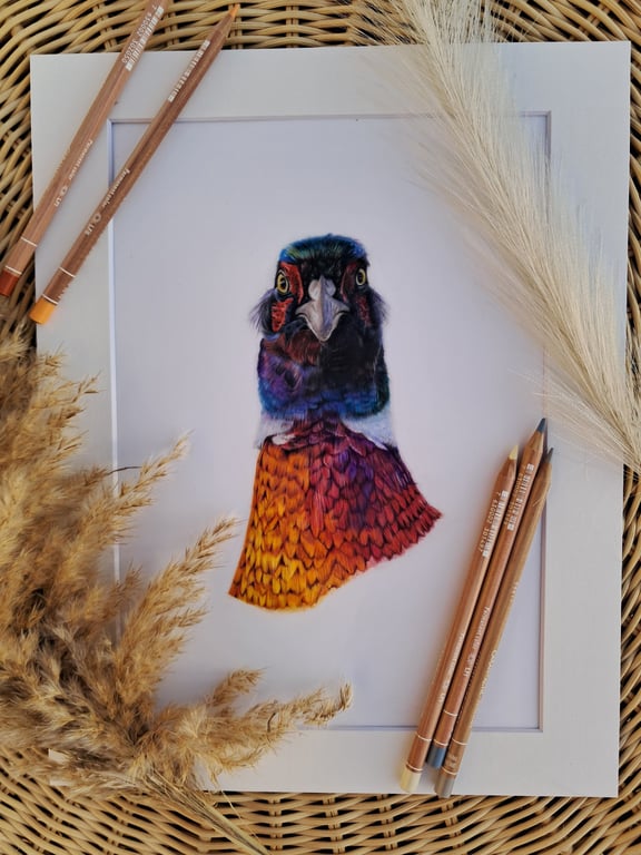 British Wildlife Drawing of a Pheasant 
