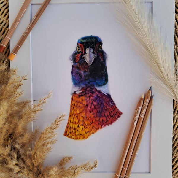 British Wildlife Drawing of a Pheasant 