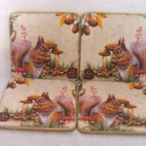Set of 4 squirrel coasters.