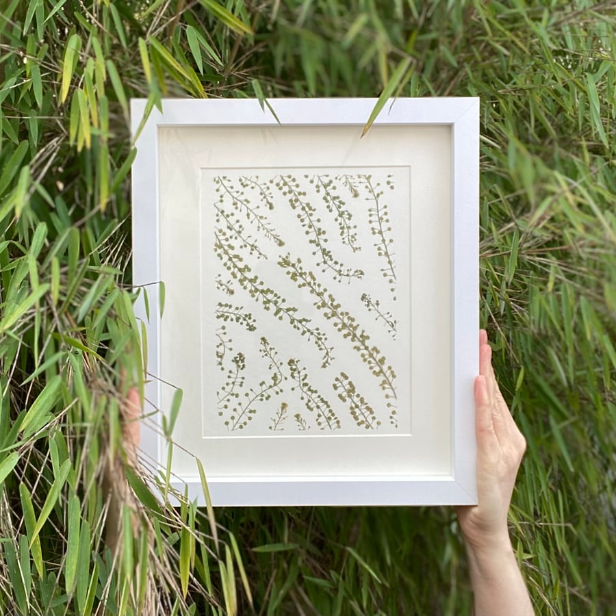 Thlaspi Pressed Foliage Giclee Print - Ready to Frame - A4 Wall Art