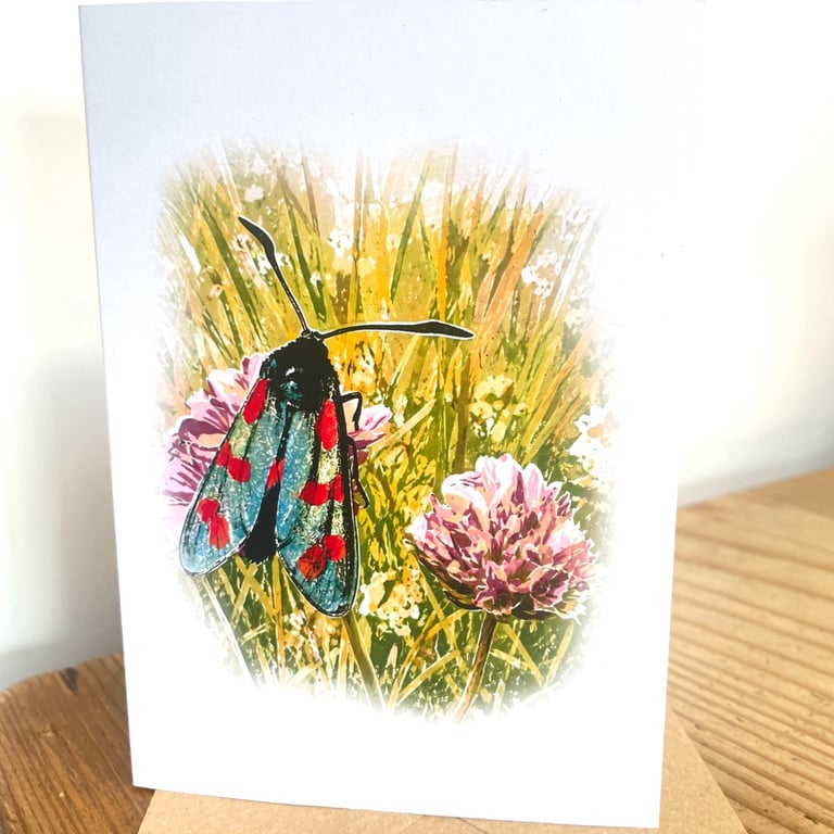 Blank Card A6 Portrait - Six Spot Burnet