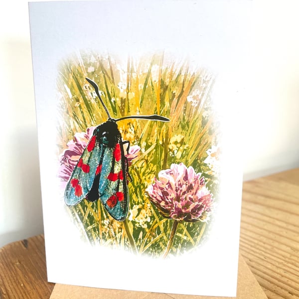 Blank Card A6 Portrait - Six Spot Burnet