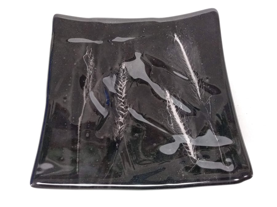 Ghost Grass Fused Glass Square Plate Black