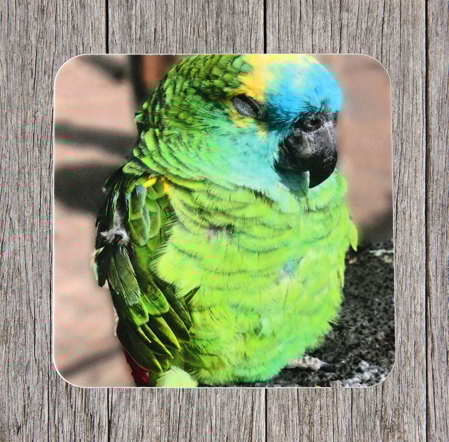 End of line product. Coasters. Sleepy Parrot in Playa Blanca.