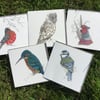 Beautiful Bird mixed pack of Greeting cards x 5 