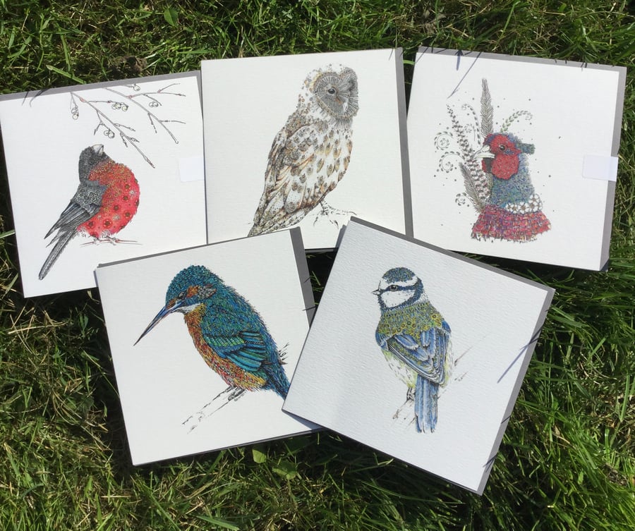 Beautiful Bird mixed pack of Greeting cards x 5 