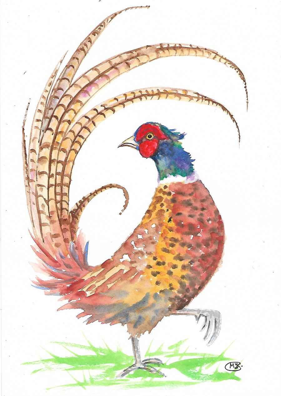 Pheasant original painting.