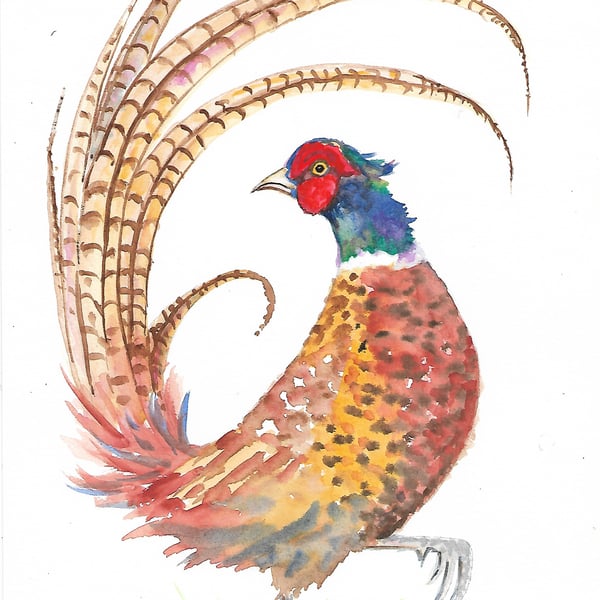 Pheasant original painting.