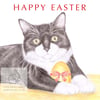 MIittens the Cat - Easter Card