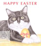 MIittens the Cat - Easter Card