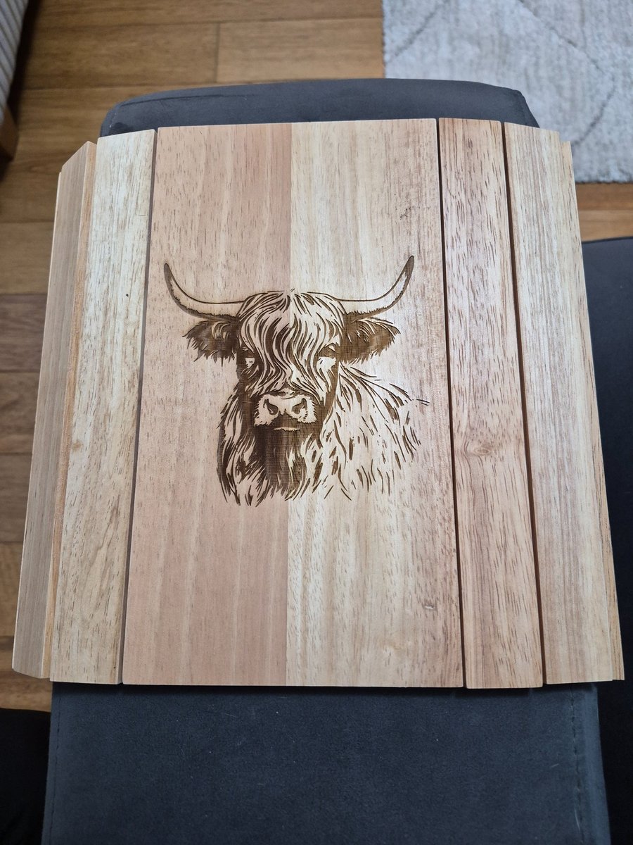 Fantastic Laser Engraved Sofa Arm Trays