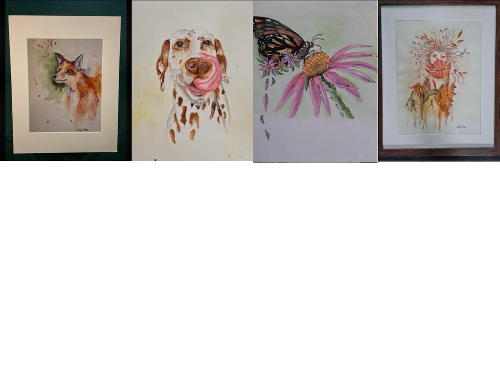 Nicola Anne illustrations