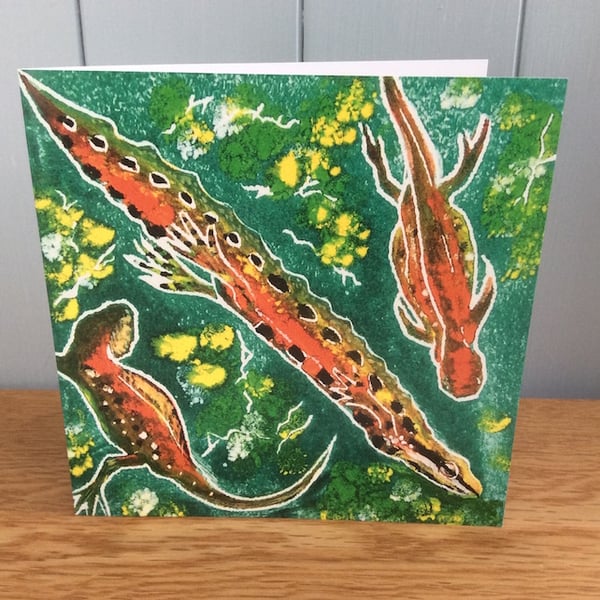 Dragons at Play - charity greeting card showing three swimming newts