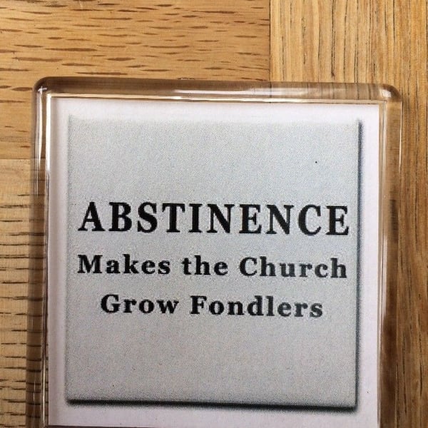 Abstinence Makes The Church Grow Fondlers Magnet