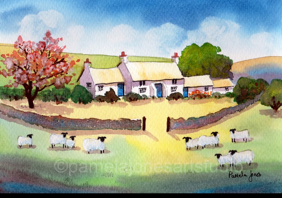 Pembrokeshire Cottage, Cherry Blossom, Sheep, Watercolour In 14 x 11 '' Mount