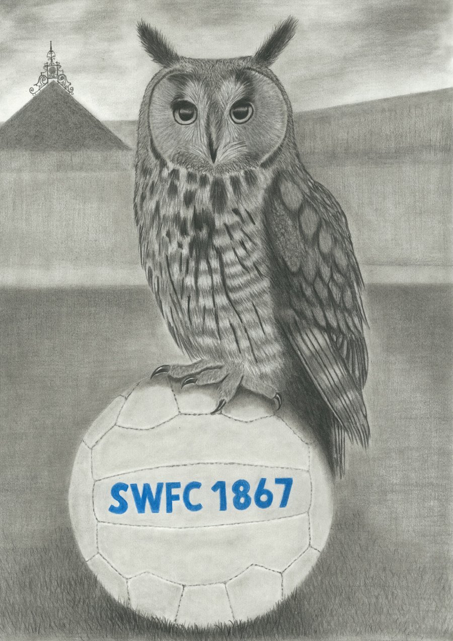Sheffield Wednesday FC Owl art print A3 - Folksy