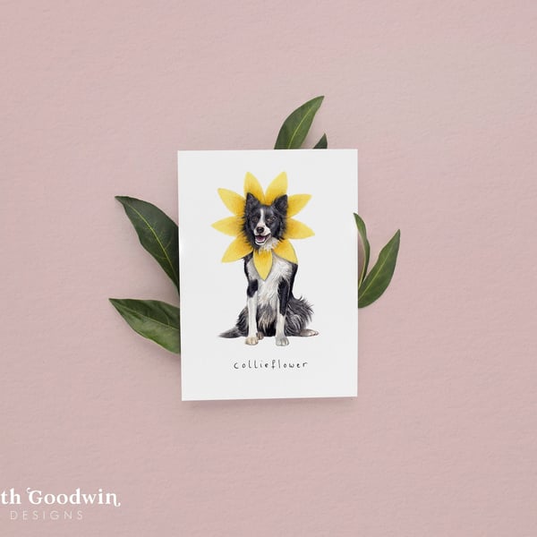 Collieflower Card - Border Collie Card, Funny Cards, Dog Birthday Cards