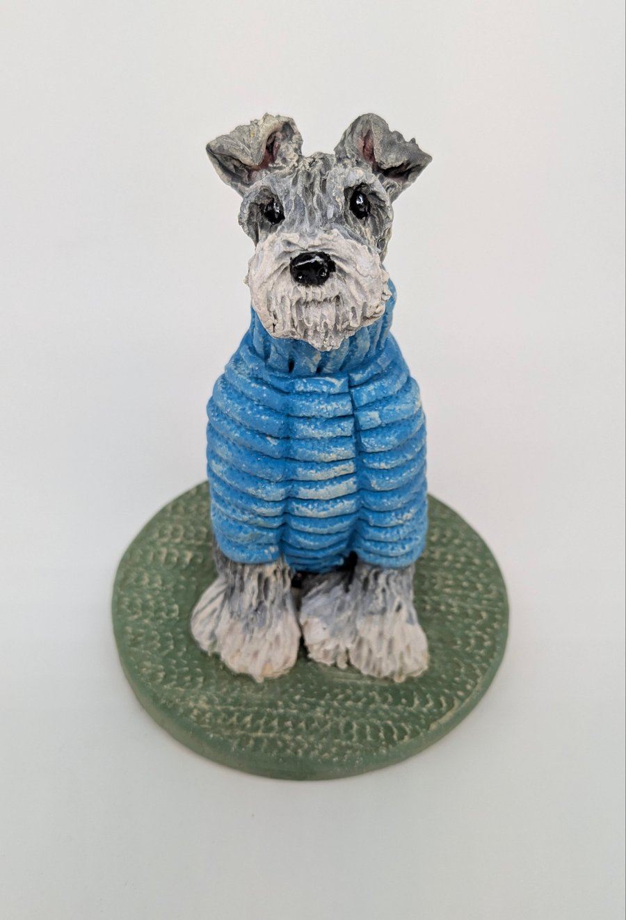 Schnauzer in Turquoise Woolly Jumper 