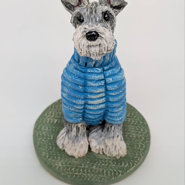 Schnauzer in Turquoise Woolly Jumper 