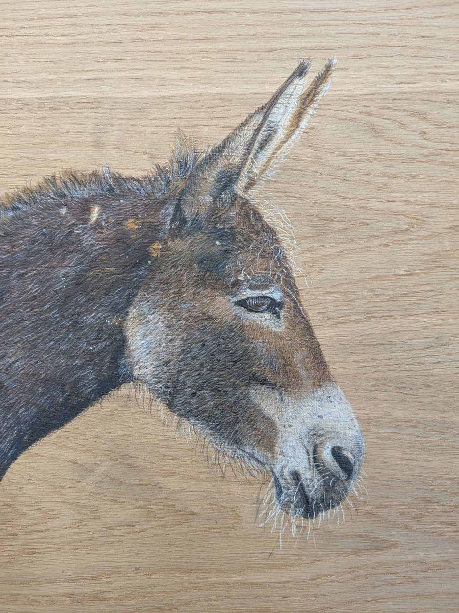 Image of Original Donkey Painting