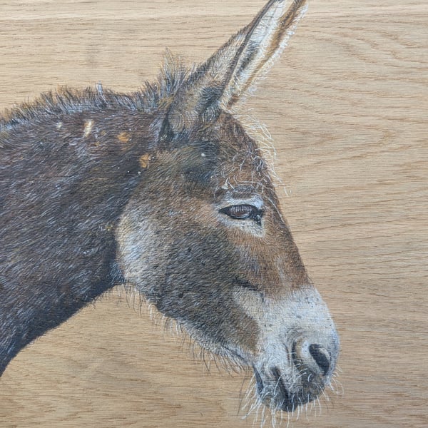 Original Donkey Painting