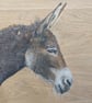 Original Donkey Painting
