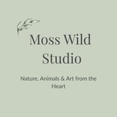 MossWildStudio
