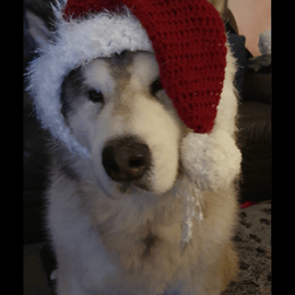 Santa Hats for Dogs - Santa Doggie - Doggie Hat - Hats -  Made to Order 
