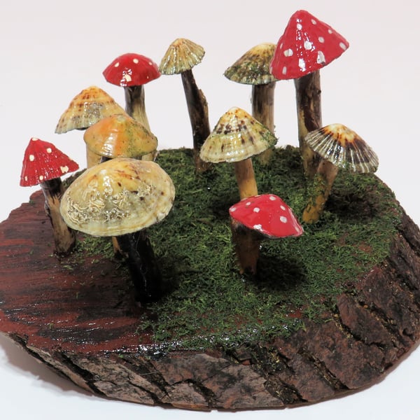 Unique woodland limpet shell and driftwood fairy ring scene ornament 