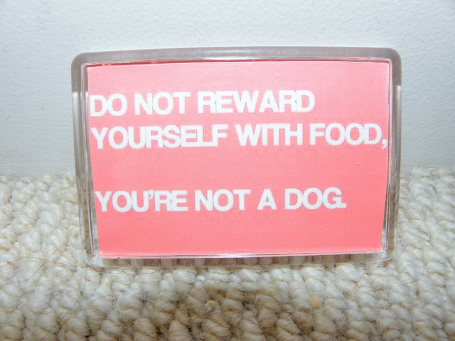 You Are Not A Dog Fridge Magnet