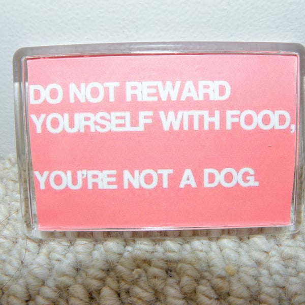 You Are Not A Dog Fridge Magnet