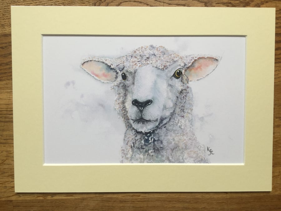 A4 or A3 mounted print of Samphire Sheep - free UK postage