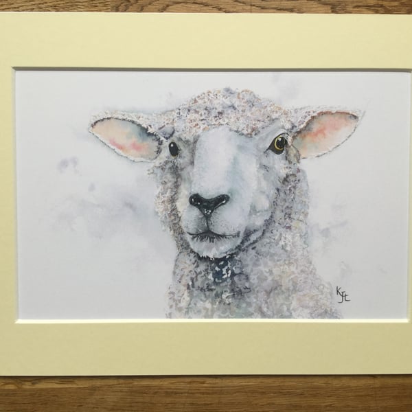 A4 or A3 mounted print of Samphire Sheep - free UK postage