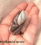 Prestige Amazonite Double Sided Fish Carved Gemstone Pendant Bead. - Image 5