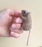 Mischief Mouse - Rufus - Image 3