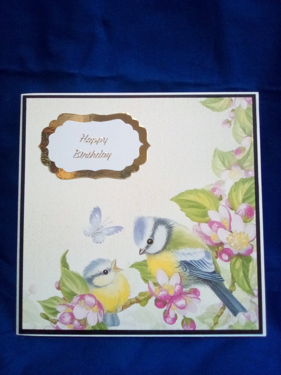 Pretty Bluetit Birthday Card