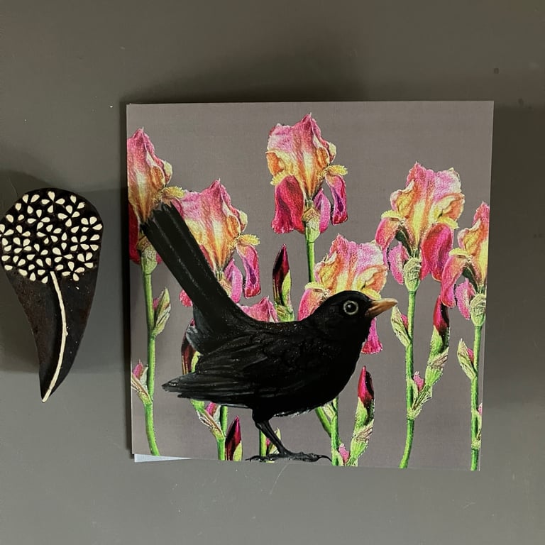The Iris Blackbird Blank Greeting Card 