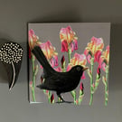 The Iris Blackbird Blank Greeting Card 