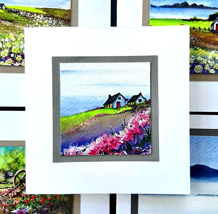 Sea Pinks, Or Thrift Handpainted Greetings Card  Scottish Scenery And Cottages