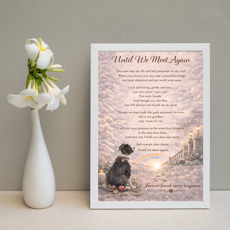 Until We Meet Again” – A4 Pet Memorial Print