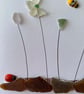 Cornwall sea glass spring garden design greeting card  - Image 2