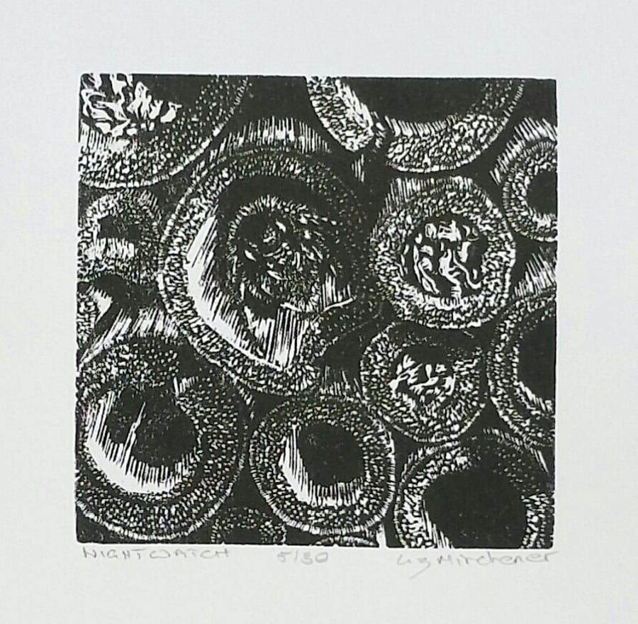 Limited edition wood engraving 'nightwatch' , mason bee in her bee hotel
