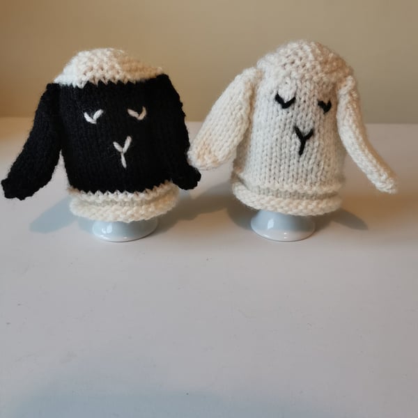 Hand Knitted Sheep Egg Cosy, Egg Warmer