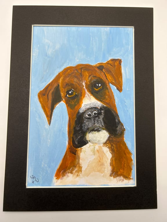 Original boxer dog painting in acrylics 5x7"