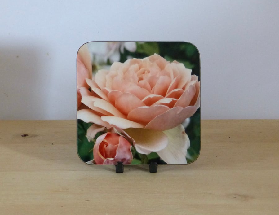 Photo Coaster - Apricot Rose